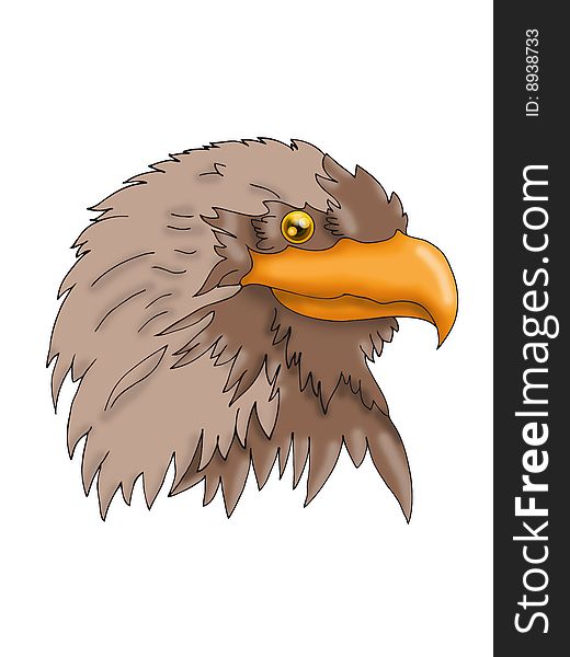 Vector illustration of sea eagle head, symbol of the united states of america and numerous football and ice hockey teams around the world.