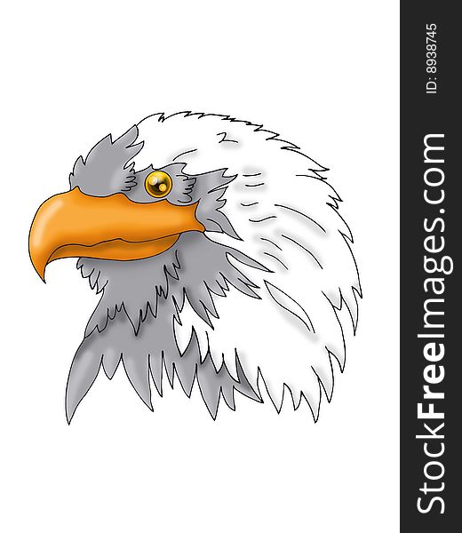 Vector illustration of sea eagle head, symbol of the united states of america and numerous football and ice hockey teams around the world. Vector illustration of sea eagle head, symbol of the united states of america and numerous football and ice hockey teams around the world.