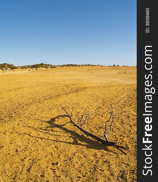 Pinnacles desert in western australia