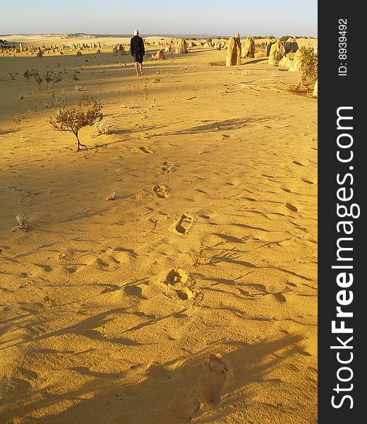 Man Walking To Pinnacles Desert