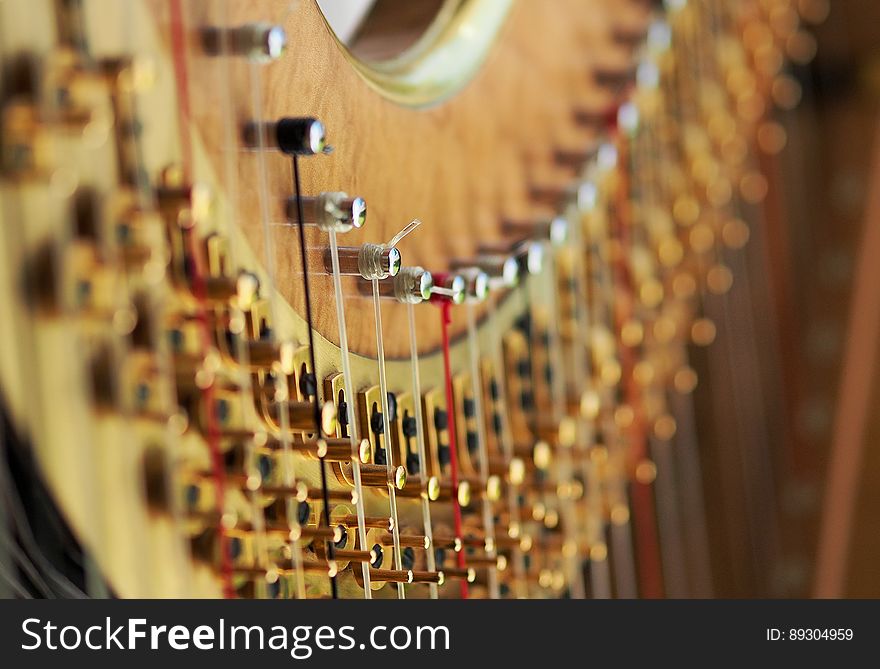 A close up of the strings and tuning pins of a modern concert harp.
