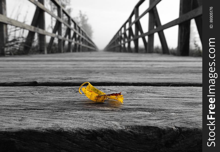 Closeup of a yellow leaf on an old grainy wooden bridge seen in monochrome with railings on left and right. Closeup of a yellow leaf on an old grainy wooden bridge seen in monochrome with railings on left and right.