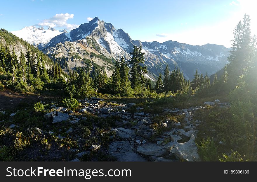 Mountain peak and evergreen forest in the bottom.