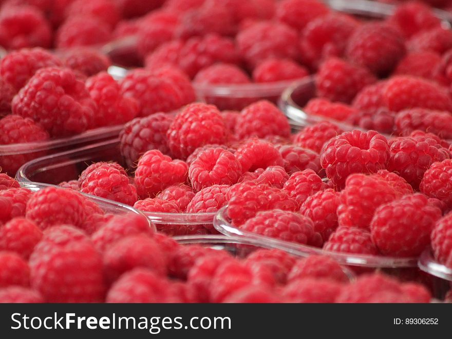 Plastic containers of fresh red raspberries.