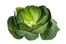 Cabbage Isolated On White Royalty Free Stock Photo Cabbage Isolated On White Royalty Free Stock Photo