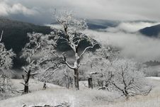 Bald Hills Royalty Free Stock Photography Bald Hills Royalty Free Stock Photography