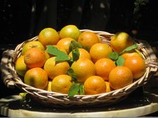 Oranges In A Basket Royalty Free Stock Image Oranges In A Basket Royalty Free Stock Image