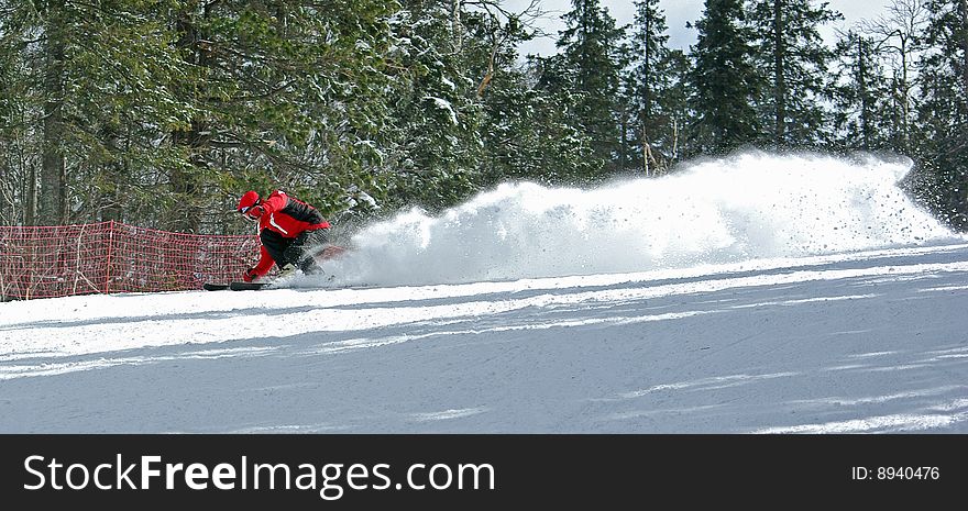 Skier in clouds of snow powder against a green forect