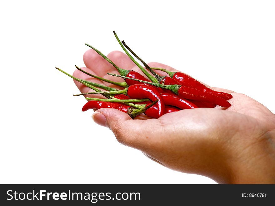 Close up capture on hand hold red spicy chili. Close up capture on hand hold red spicy chili