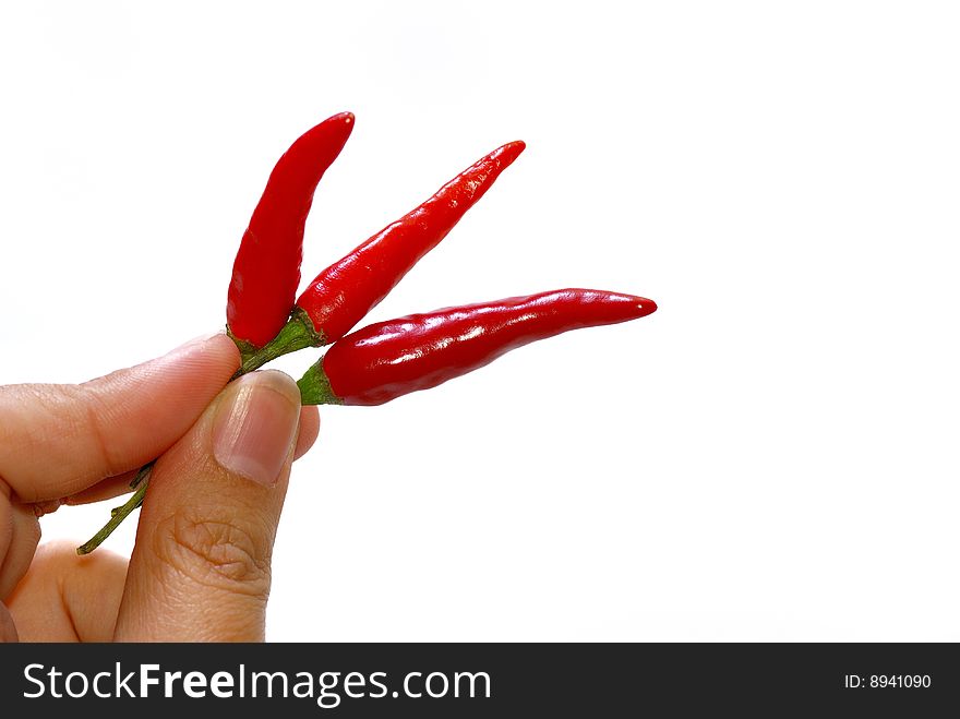 Close up capture on hand hold red spicy chili. Close up capture on hand hold red spicy chili