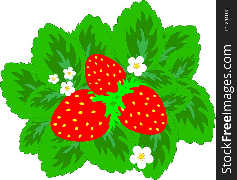 Strawberries