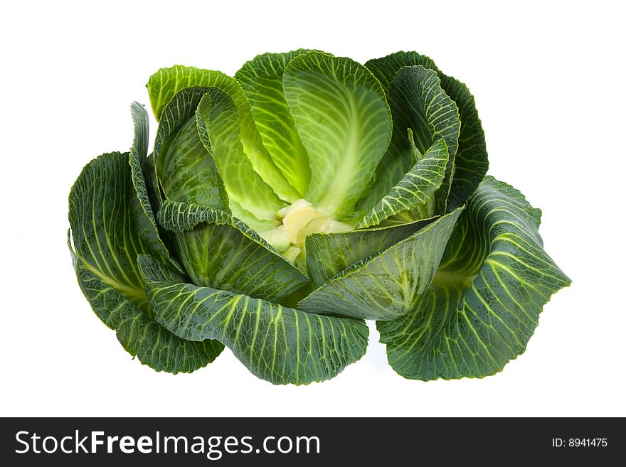 Cabbage isolated on white background