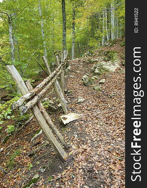 Road and fence in autumn in the forest Irati. Road and fence in autumn in the forest Irati