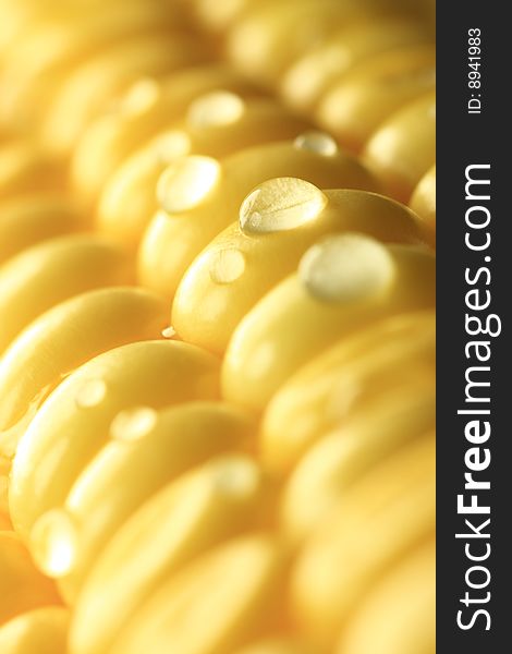 Fresh corn, dew drops on fresh corn, macro shot, shallow DOF.