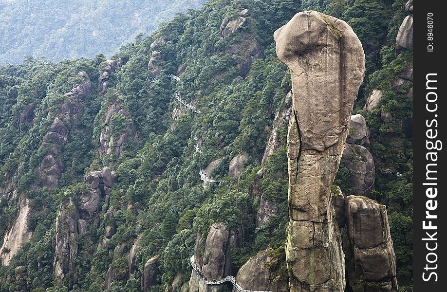 Stone python head in the mountains in the south of china