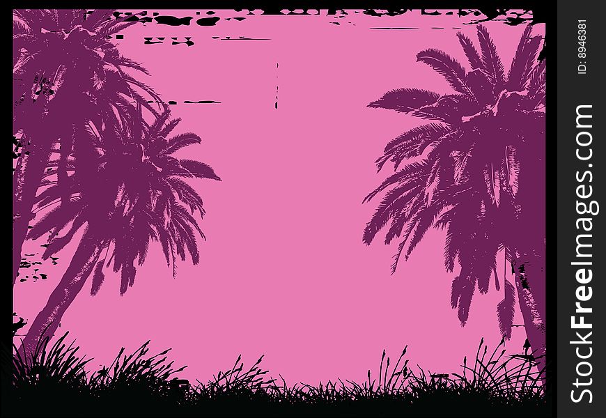 Vector illustration of palm trees. Vector illustration of palm trees