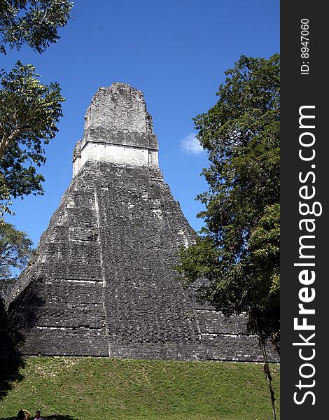 A view of the ruins of tikal in guatemala. A view of the ruins of tikal in guatemala