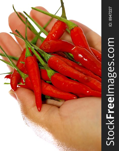 Close up capture on hand hold red spicy chili. Close up capture on hand hold red spicy chili