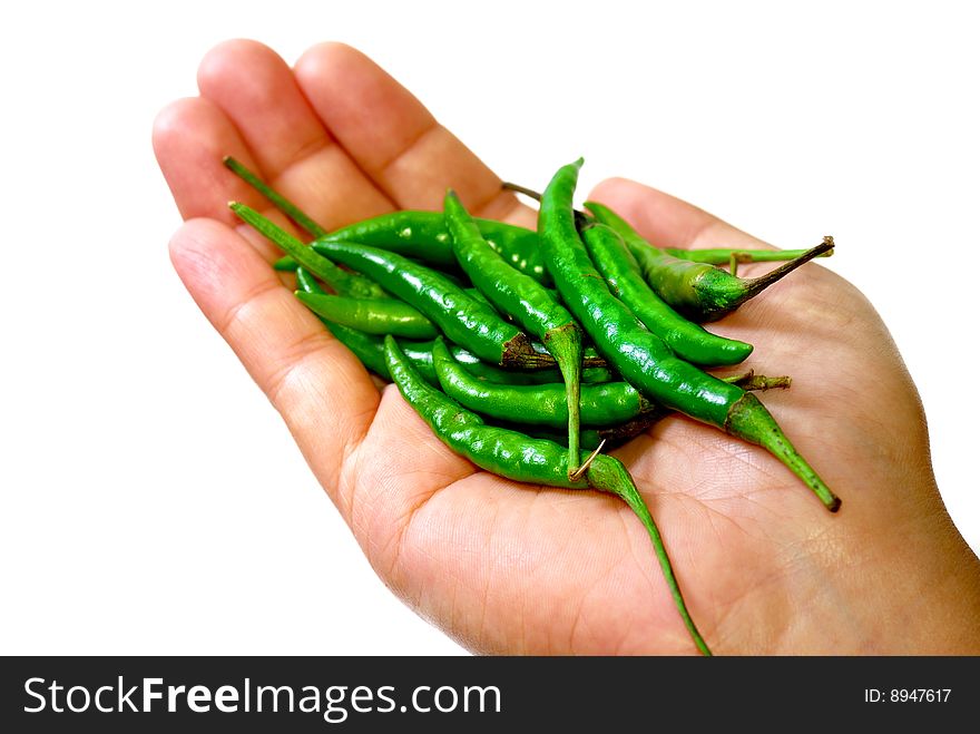 Close up capture on hand hold red and green spicy chili. Close up capture on hand hold red and green spicy chili