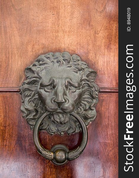 Lion Door-knock on a wooden door. Lion Door-knock on a wooden door