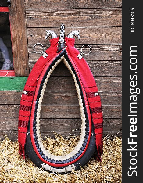 Decoration of harness, horse statue in the harness lifestyle. Decoration of harness, horse statue in the harness lifestyle