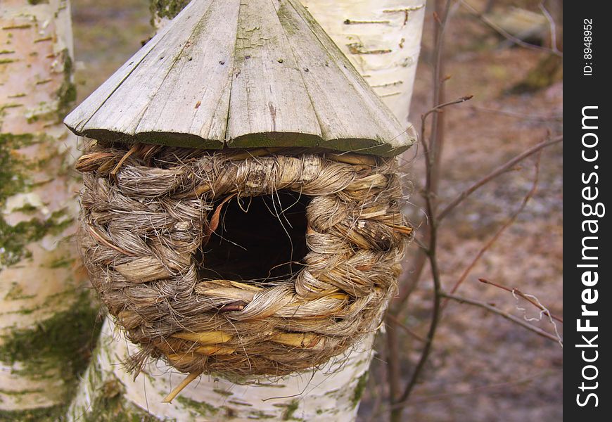 Small starling-house on the birch in the spring forest. Small starling-house on the birch in the spring forest