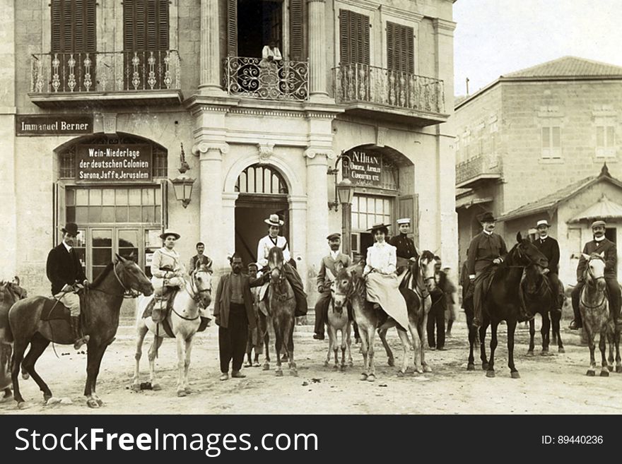 Horse, Building, Working Animal, Halter