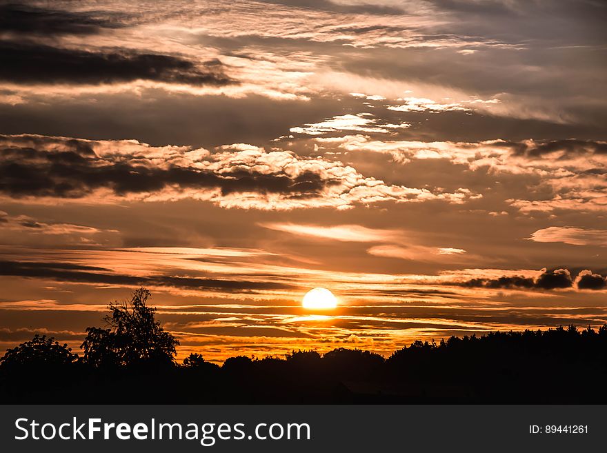 Silhouette of trees on country landscape at sunset with orange cloudy skies. Silhouette of trees on country landscape at sunset with orange cloudy skies.