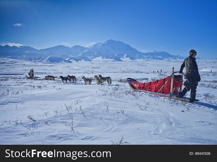 A person with a dog sled in the snowy fields with mountains in the distance. A person with a dog sled in the snowy fields with mountains in the distance.