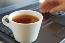 Working On A Laptop Royalty Free Stock Photos Working On A Laptop Royalty Free Stock Photos