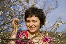 Young Woman Amongst Spring Blossom Stock Photo Young Woman Amongst Spring Blossom Stock Photo