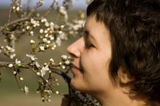 Beautiful Woman Amongst Spring Blossom Royalty Free Stock Image Beautiful Woman Amongst Spring Blossom Royalty Free Stock Image