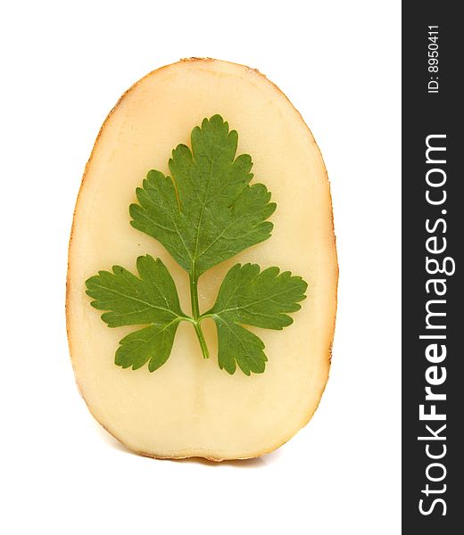 Raw fresh potato isolated on white background