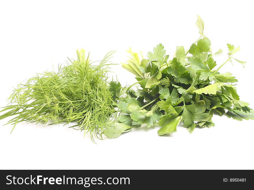 Green fresh parsley isolated on white background