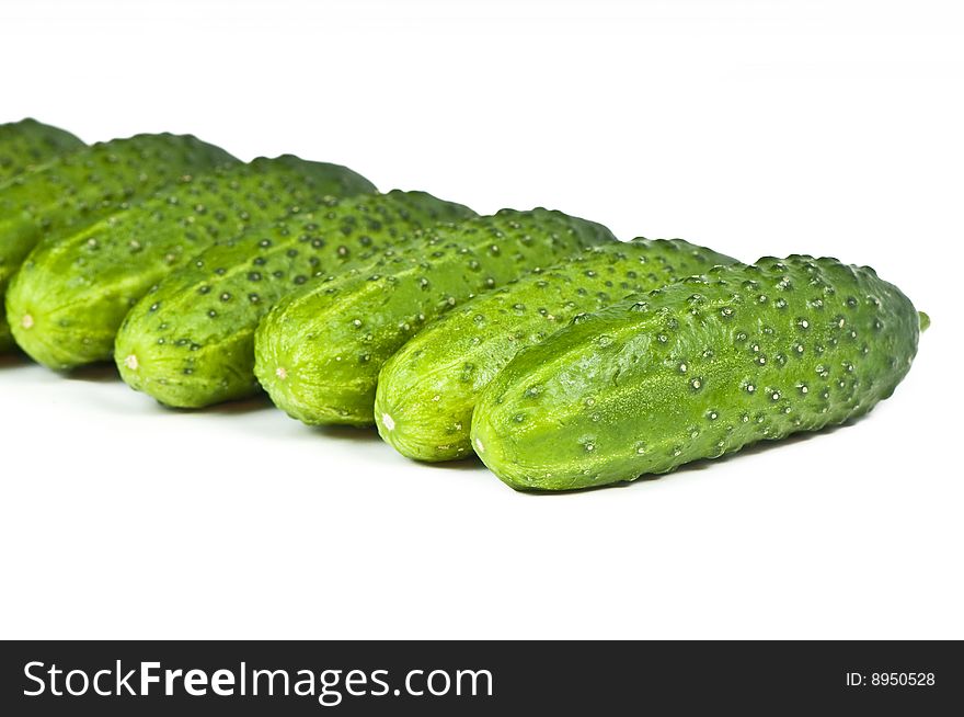 Green cucumber vegetable fruits isolated on white background. Green cucumber vegetable fruits isolated on white background