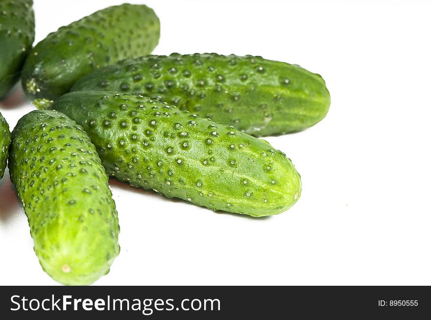 Green cucumber vegetable fruits isolated on white background