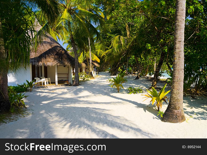 Bungalows on beach and sand pathway, flowers and trees