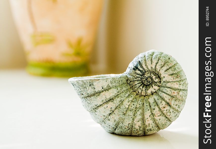 Crafted Seashells In Bathroom