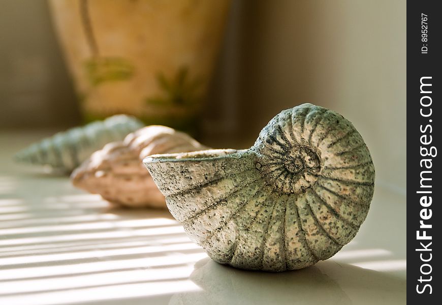 Crafted Seashell on a white ledge in a modern, luxurious Bathroom. Crafted Seashell on a white ledge in a modern, luxurious Bathroom.