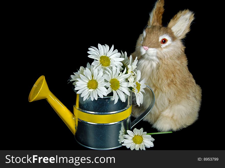 Cute bunny with daisy bouquet in watering can. Cute bunny with daisy bouquet in watering can.