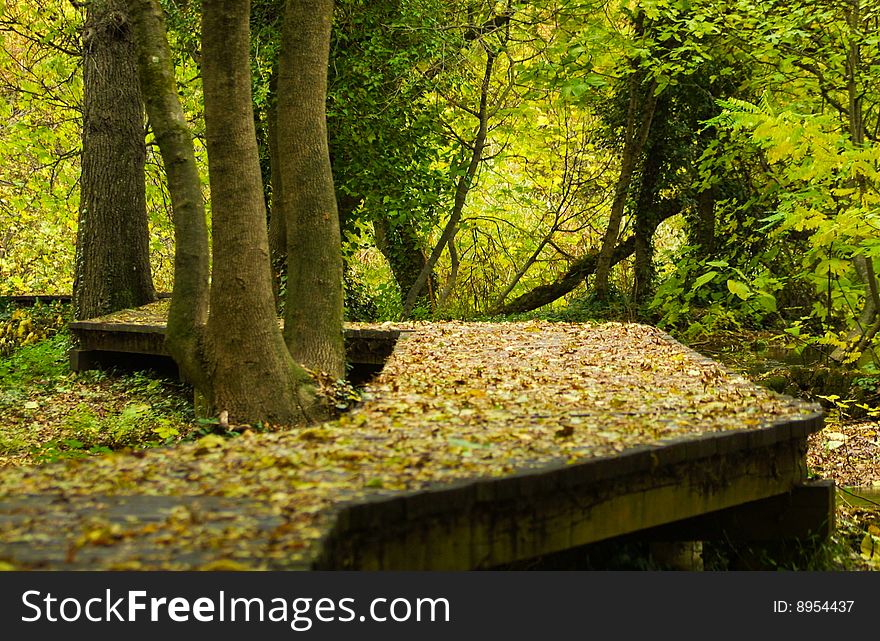 Wooden footpath in national park krka in croatia in autumn