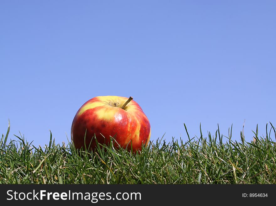 Apple in grass against  a bright blue sky