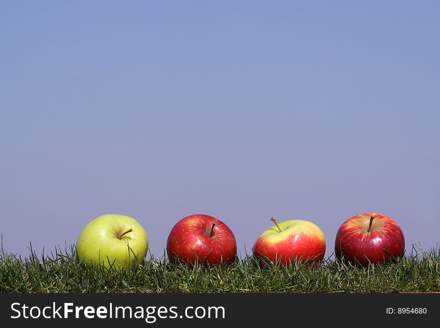 Apples in grass