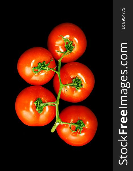 Bunch of five tomato on black background. Bunch of five tomato on black background