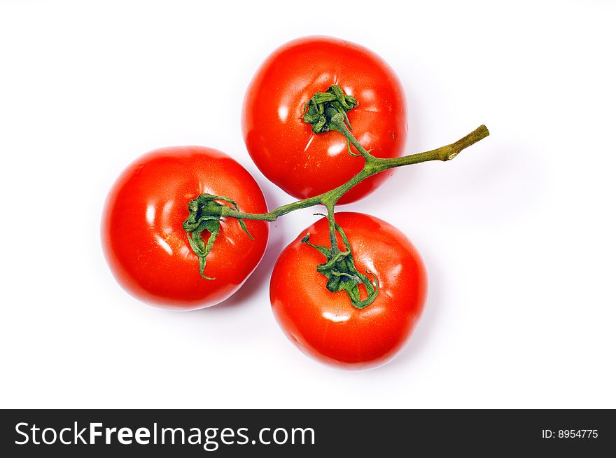 Bunch of three tomato on white background. Bunch of three tomato on white background