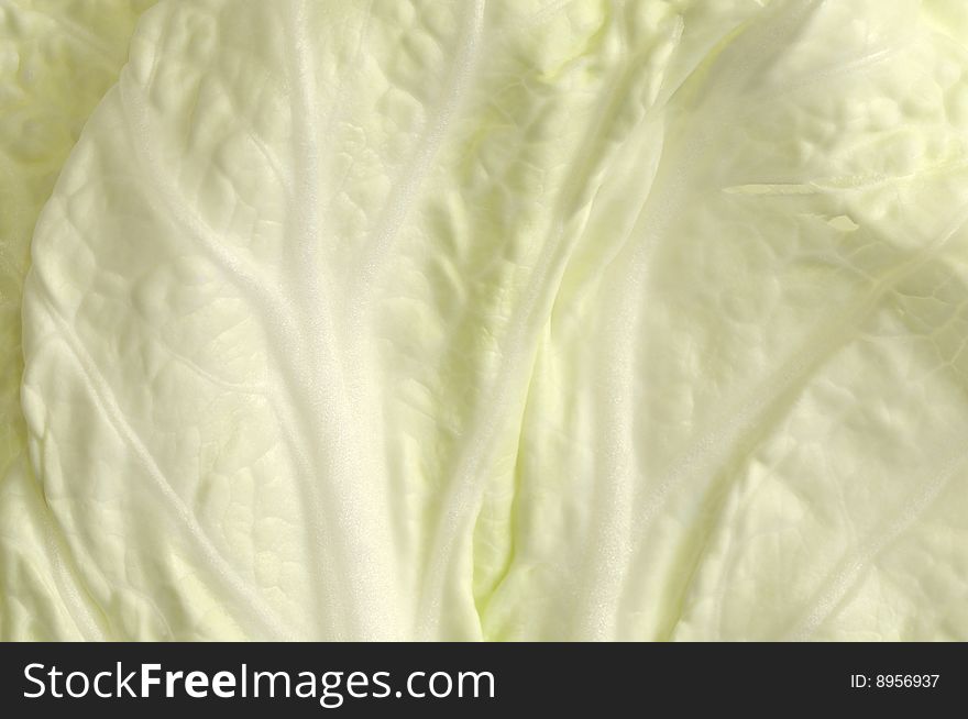 Leaf Of Celery Cabbage, Background.