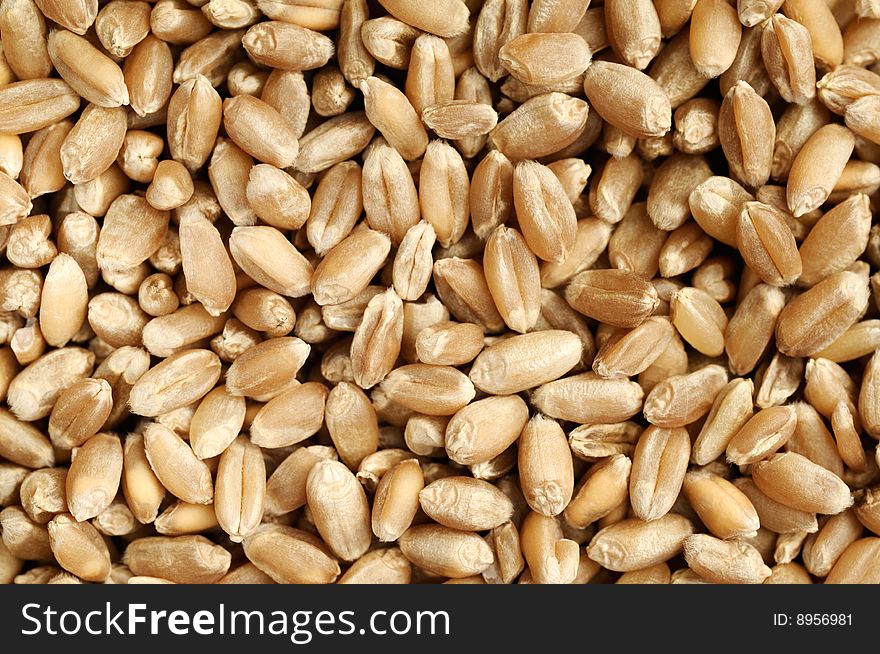 Wheat Grains, Background.