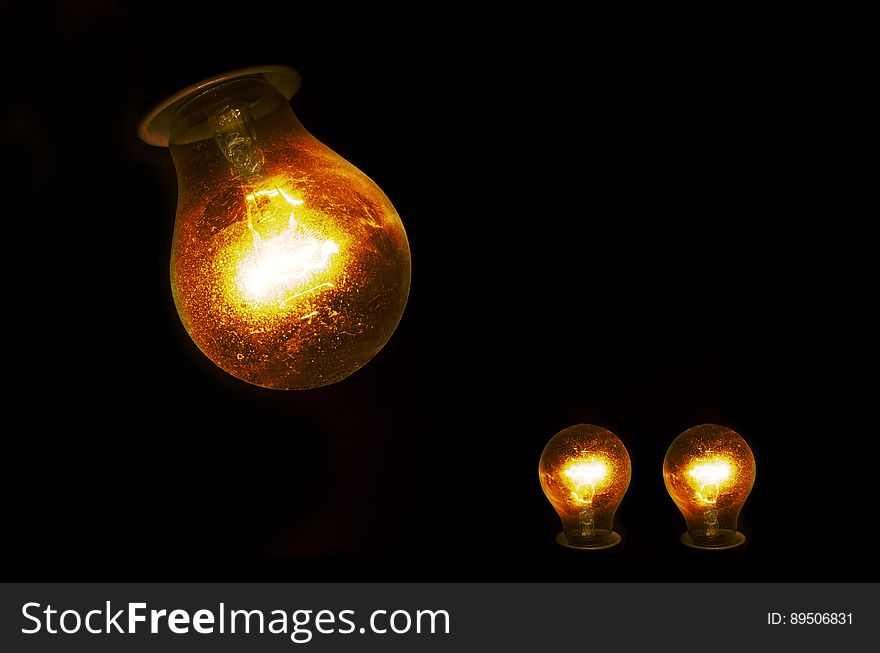 Illuminated decorative bulbs