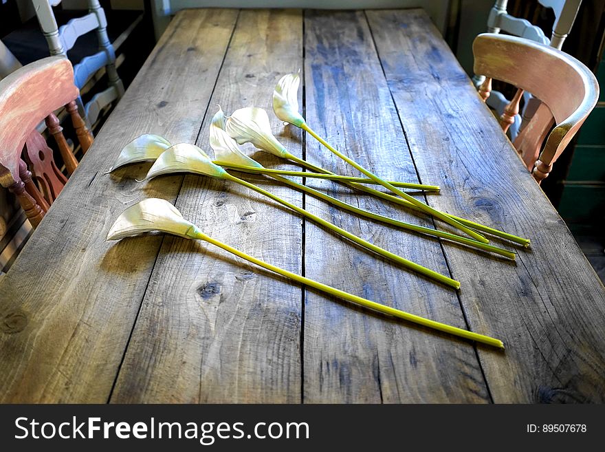 White long stemmed flowers on rustic wooden table with chairs in sunlight. White long stemmed flowers on rustic wooden table with chairs in sunlight.