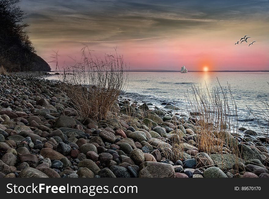 Brown and Grey Stones on Seashore during Sunset